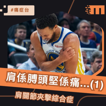 More Than Physio 飛躍物理治療綜合專科中心 -肩關節夾擊綜合症